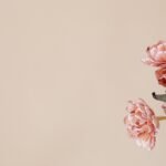 Close-up of pink flowers with copy space on a beige background.